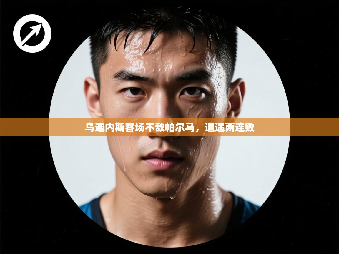 乌迪内斯客场不敌帕尔马,遭遇两连败 第1张