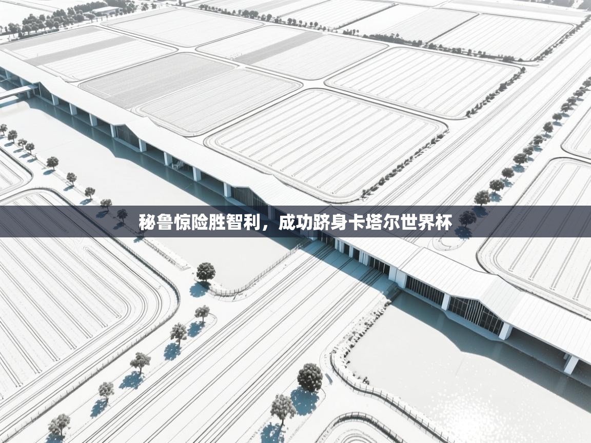 秘鲁惊险胜智利，成功跻身卡塔尔世界杯  第2张