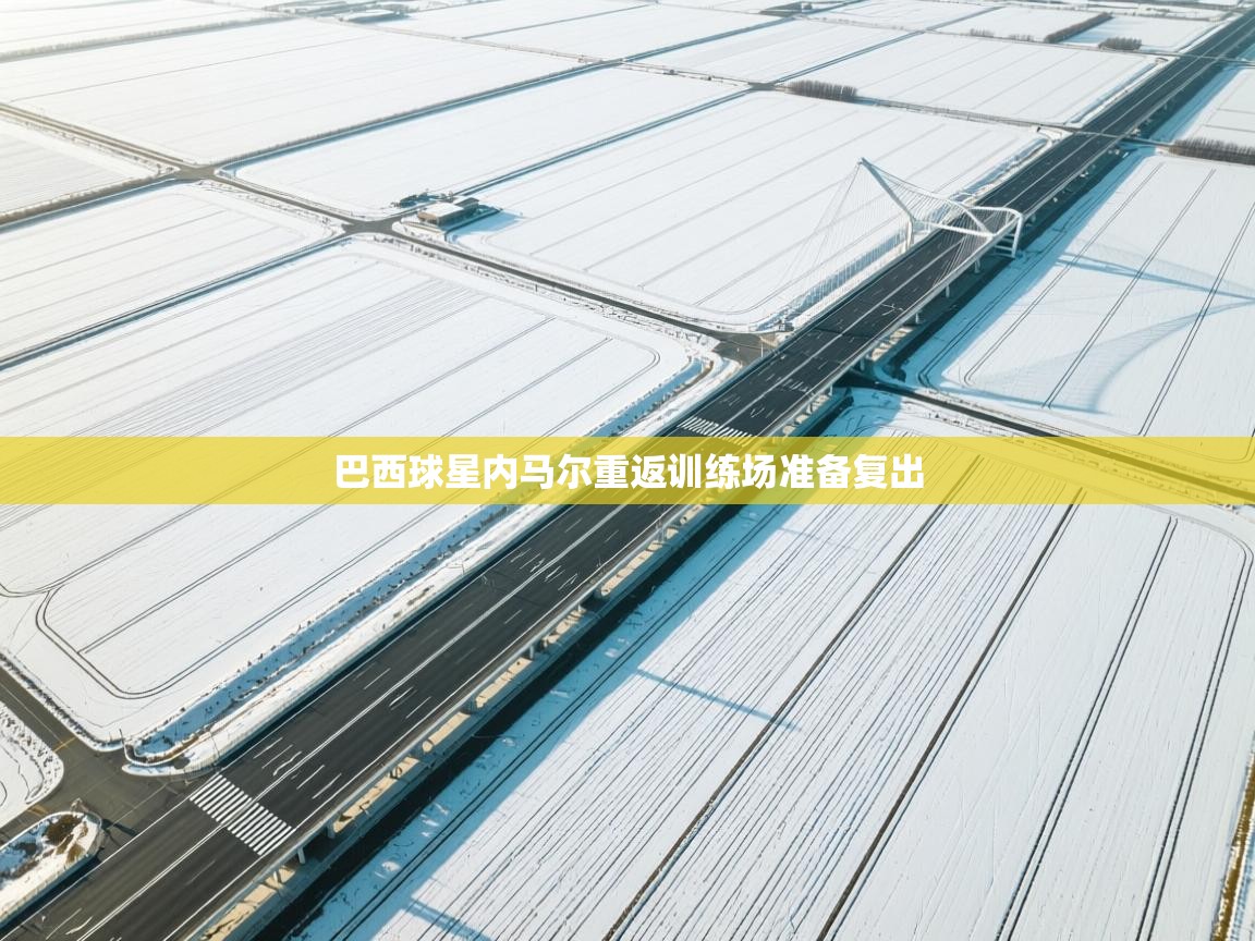 巴西球星内马尔重返训练场准备复出  第1张