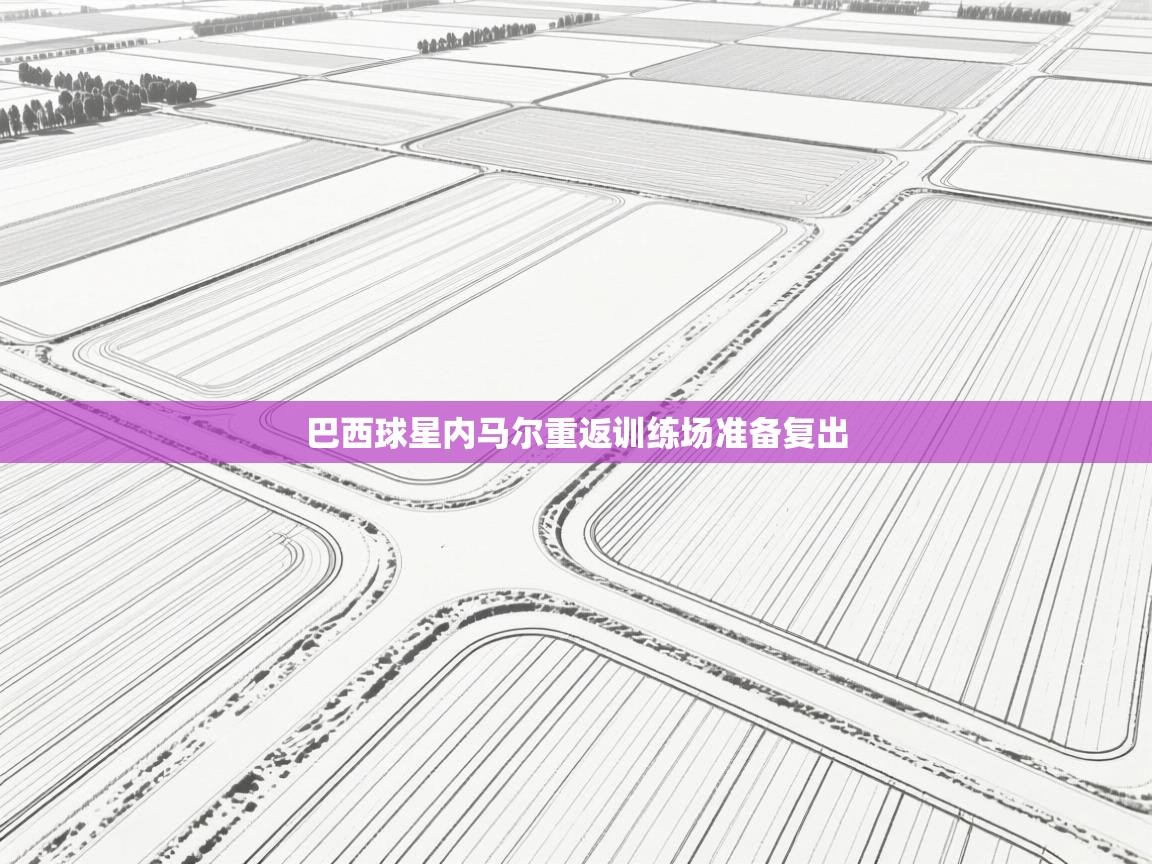 巴西球星内马尔重返训练场准备复出  第2张