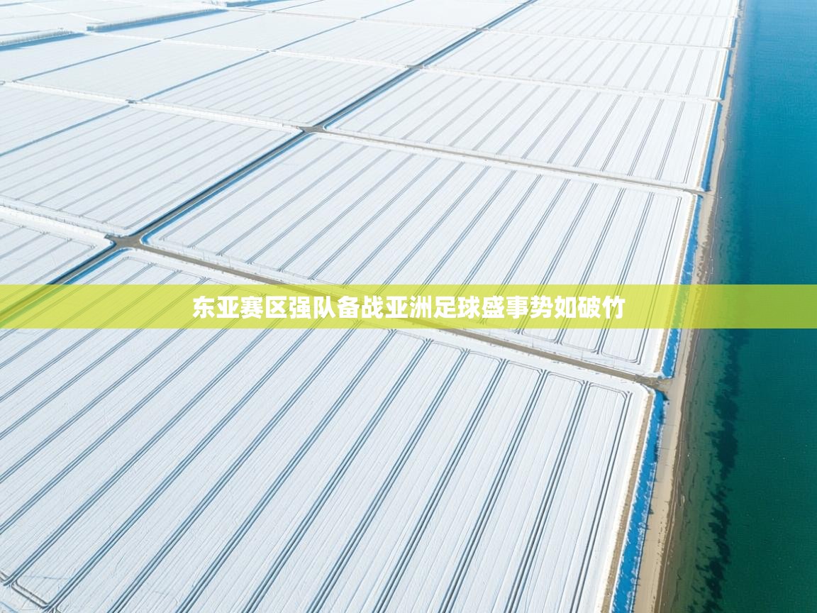 东亚赛区强队备战亚洲足球盛事势如破竹  第1张