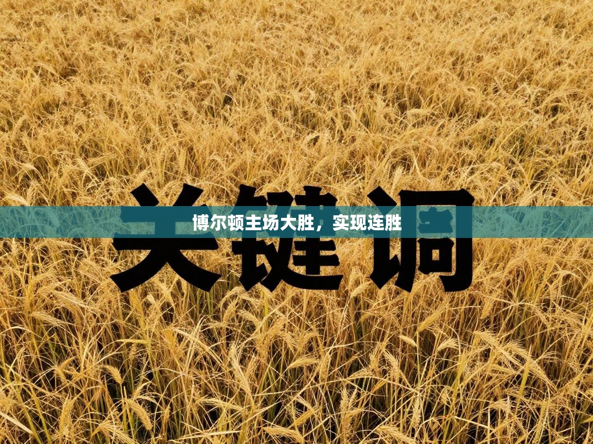 博尔顿主场大胜，实现连胜  第2张