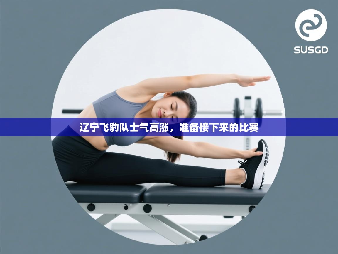 辽宁飞豹队士气高涨,准备接下来的比赛 第1张