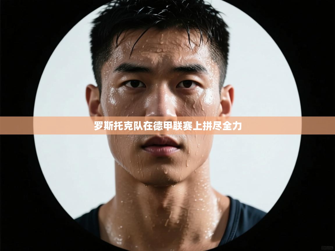 罗斯托克队在德甲联赛上拼尽全力  第1张